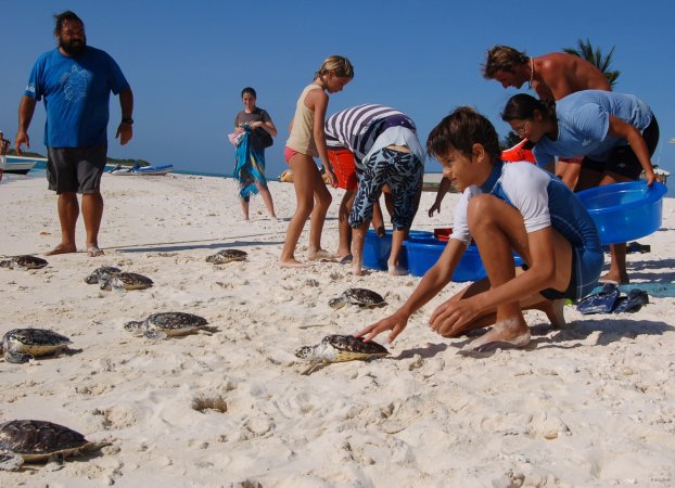 72- Les enfants relachent les tortues 